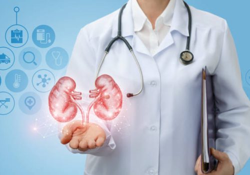 Doctor urologist shows kidneys on a blue background.